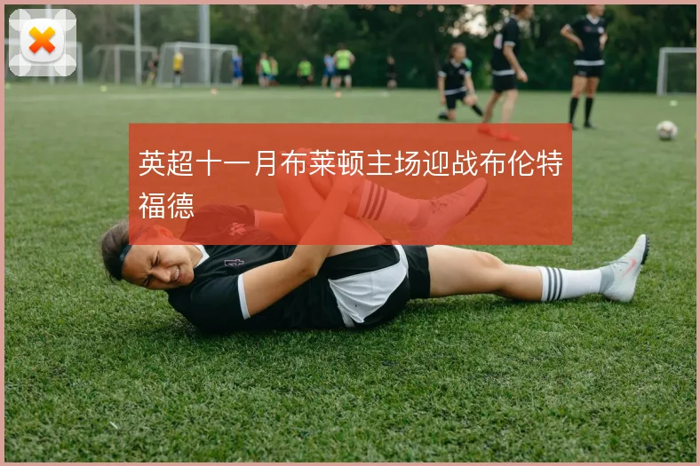 英超十一月布莱顿主场迎战布伦特福德