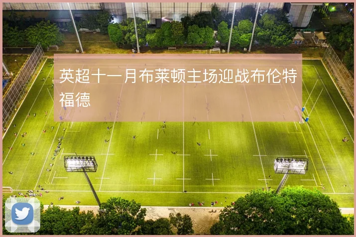 英超十一月布莱顿主场迎战布伦特福德