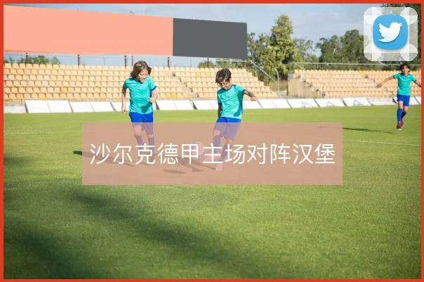 沙尔克德甲主场对阵汉堡