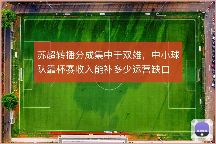 苏超转播分成集中于双雄，中小球队靠杯赛收入能补多少运营缺口