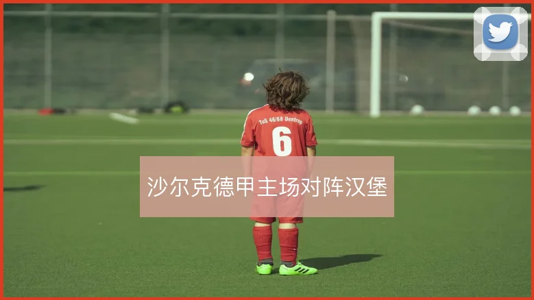 沙尔克德甲主场对阵汉堡